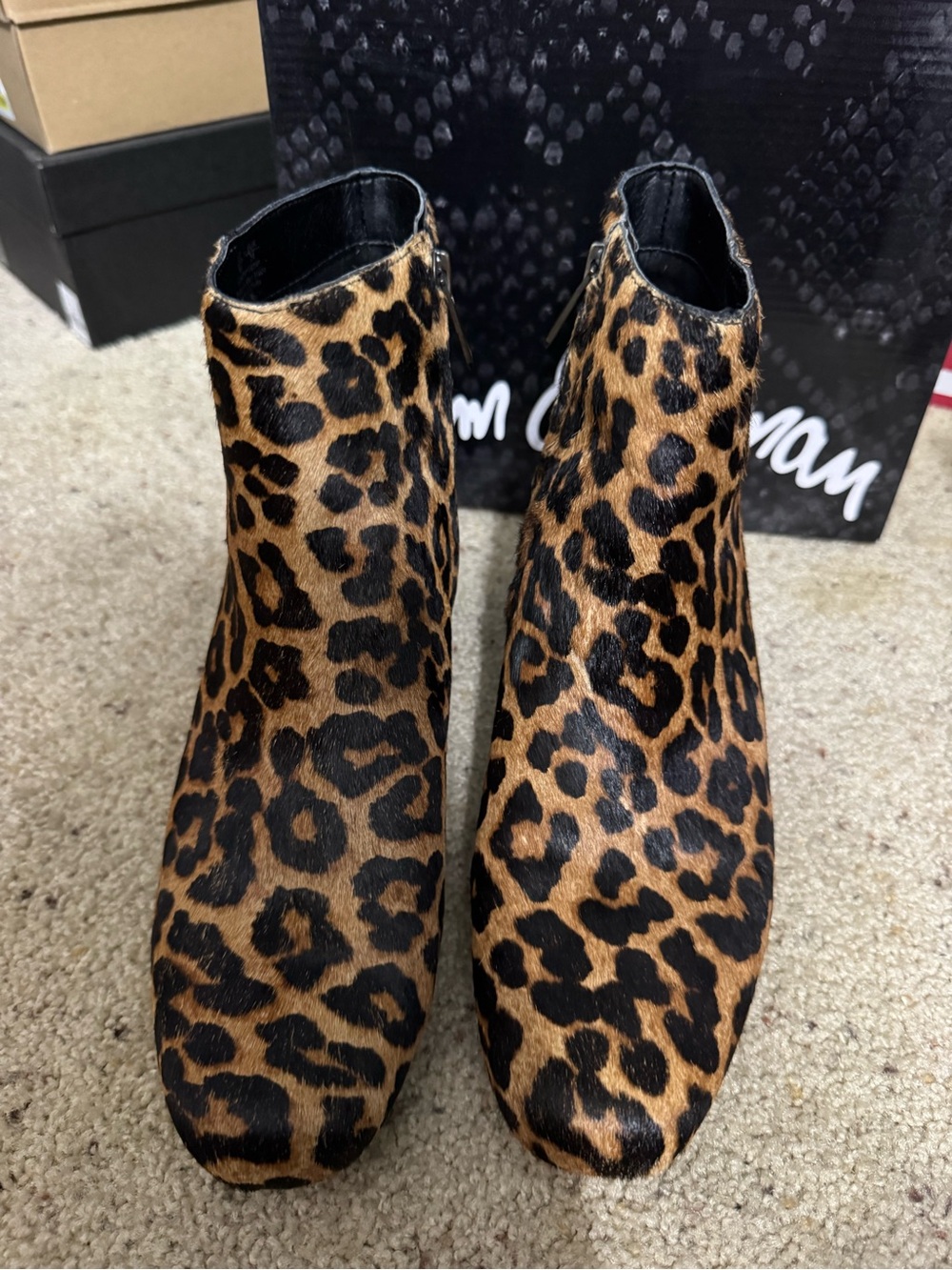 Sam Edelman Leopard Print Ankle Booties in Brown and Black